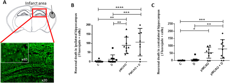 Fig. 8