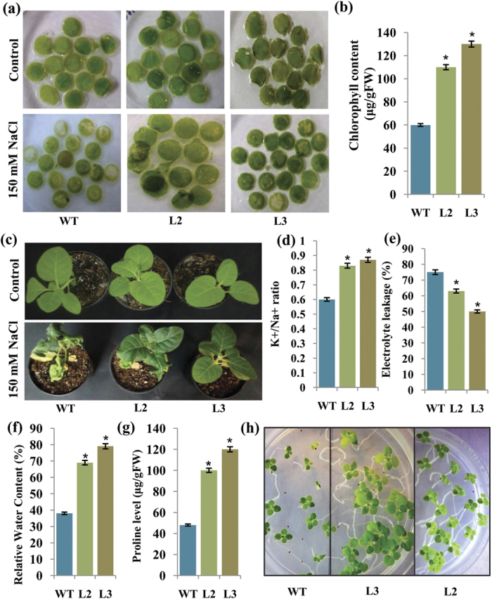 Figure 4