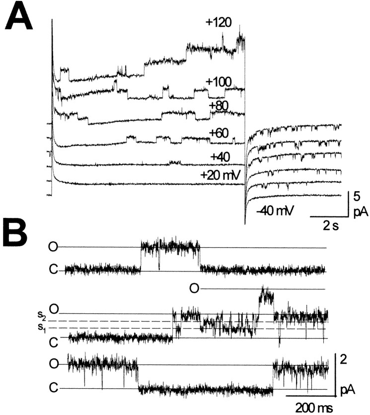 Fig. 2.