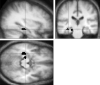 <sc>fig</sc> 2.