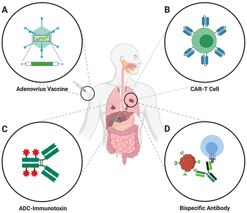 Figure 2: