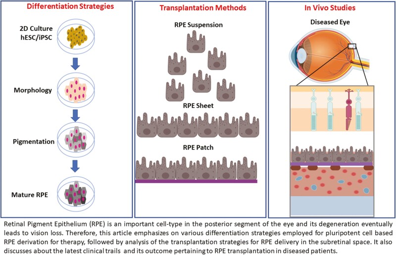 Graphical Abstract