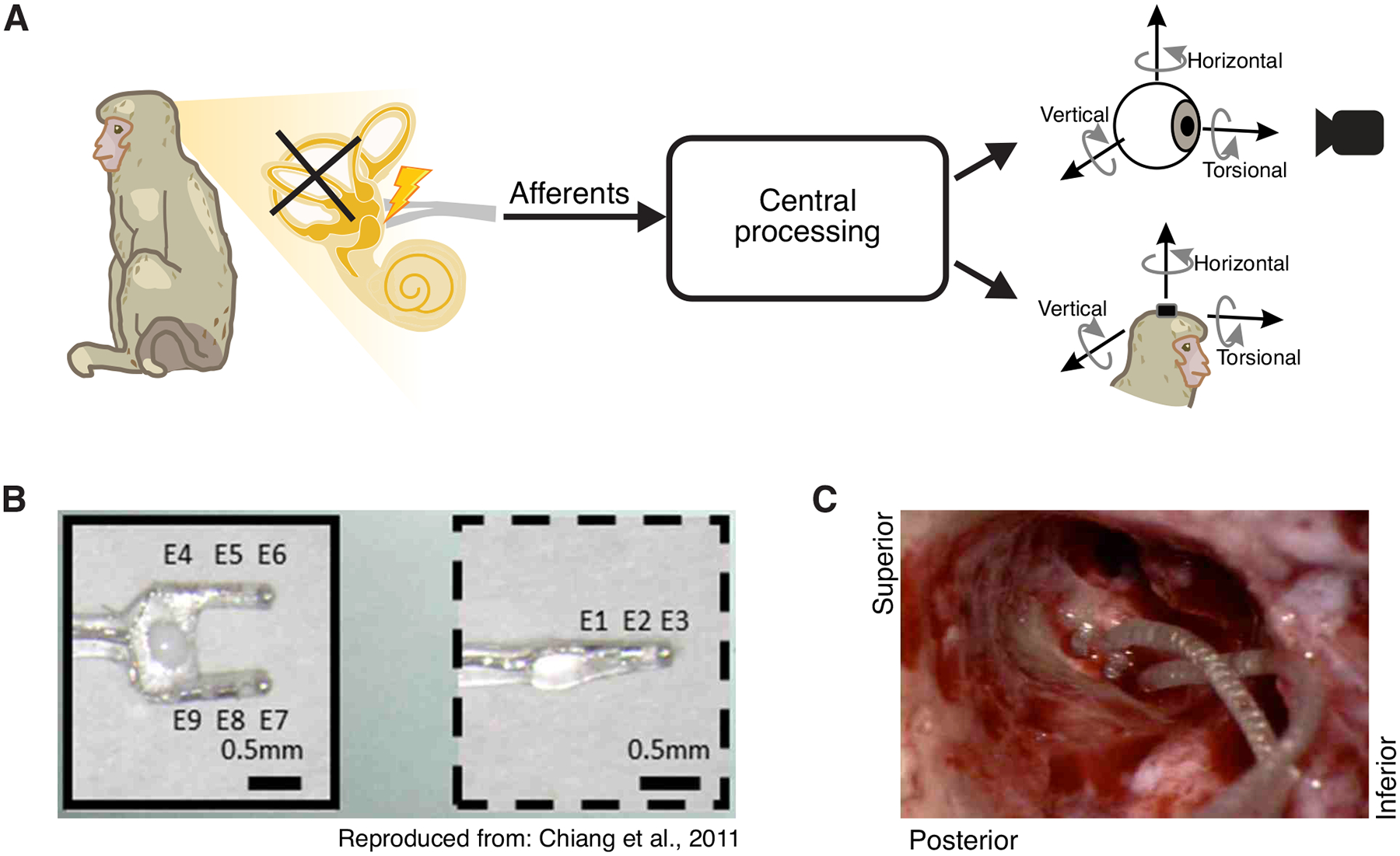 Fig1: