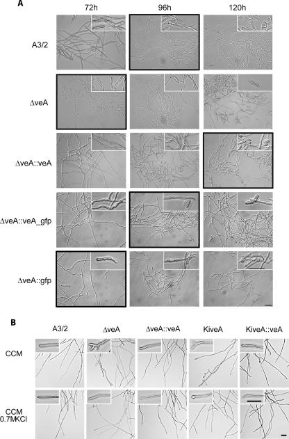 FIG. 7.