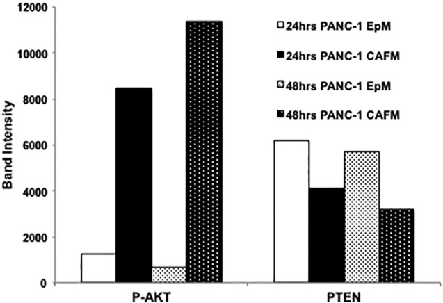 Supplemental Figure 2