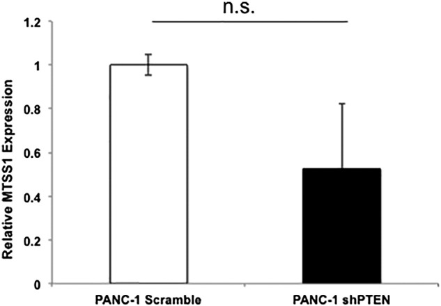 Supplemental Figure 6