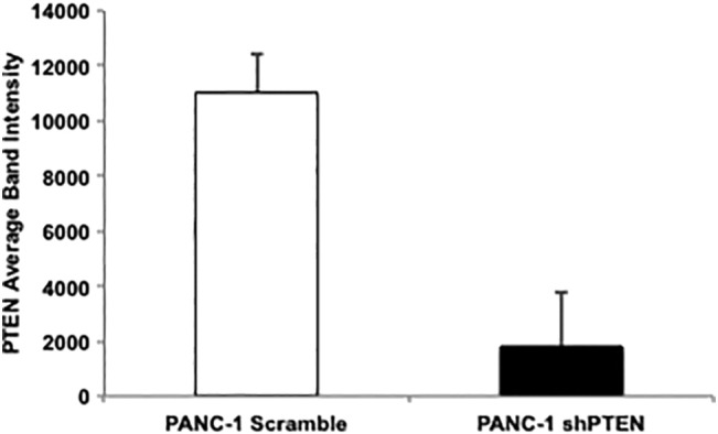 Supplemental Figure 1