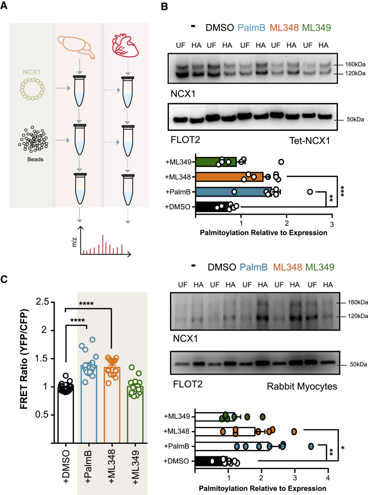 Figure 4