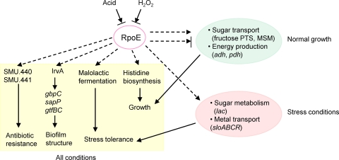 FIG. 7.