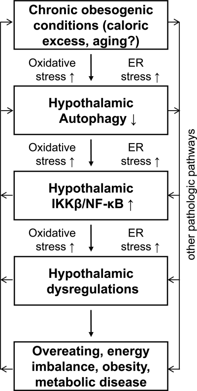 FIGURE 9.