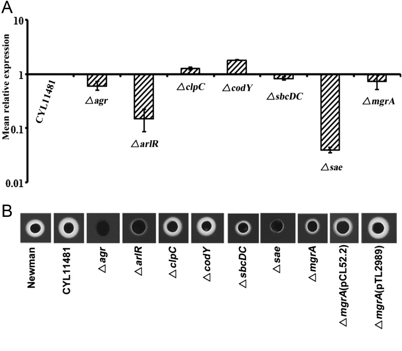 Figure 2.