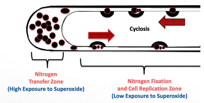 Figure 18