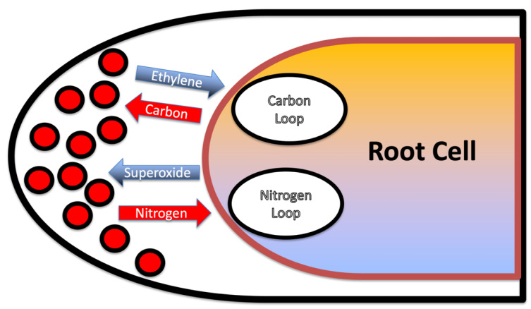 Figure 17