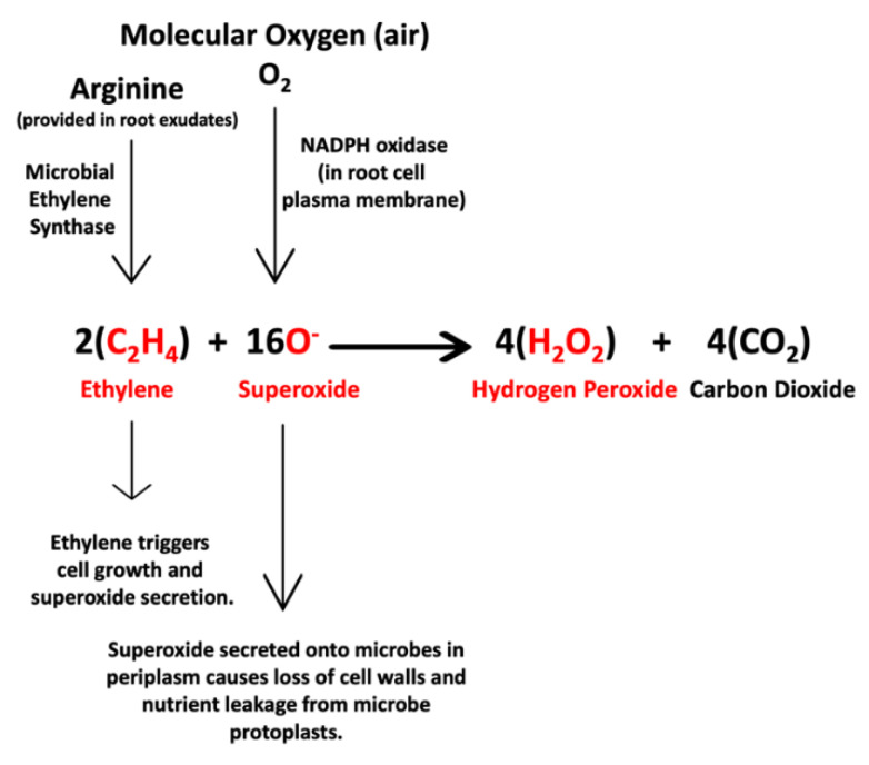 Figure 15