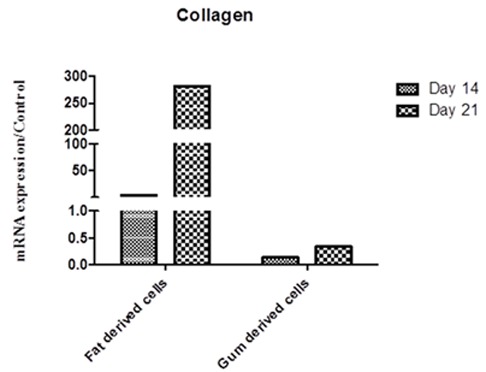 Figure4