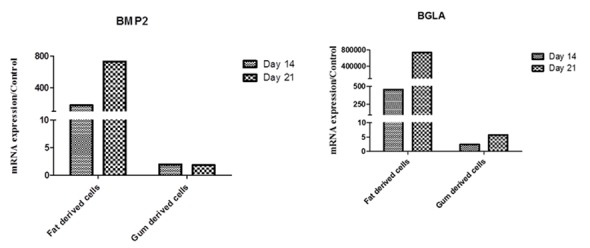 Figure3