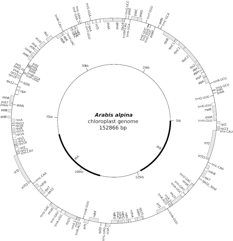 Fig. 1