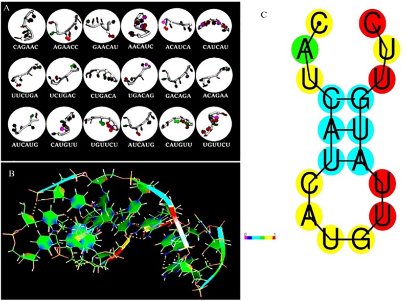 FIGURE 4