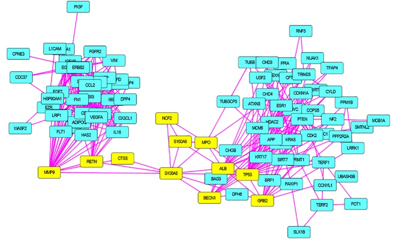 FIGURE 2