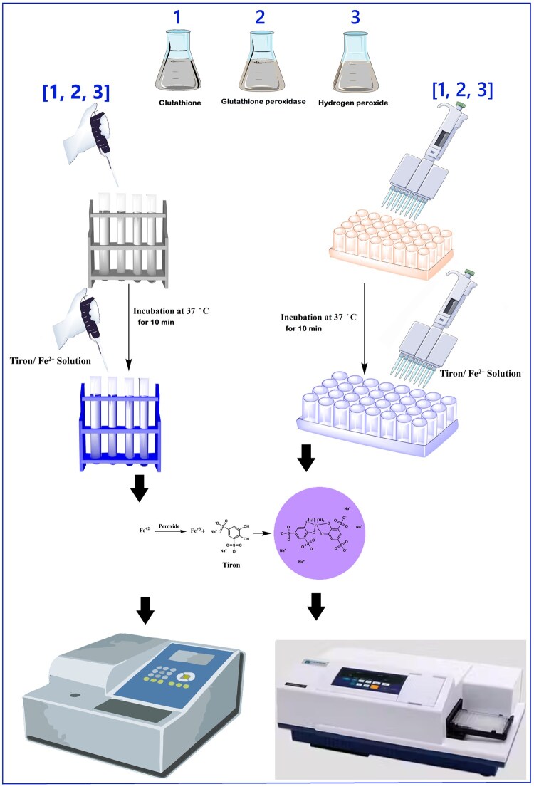 graphic file with name bpaf075f6.jpg