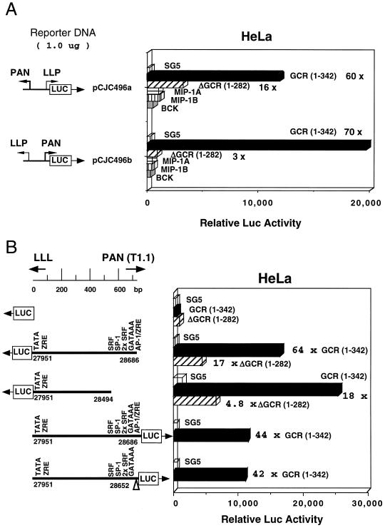 FIG. 10.