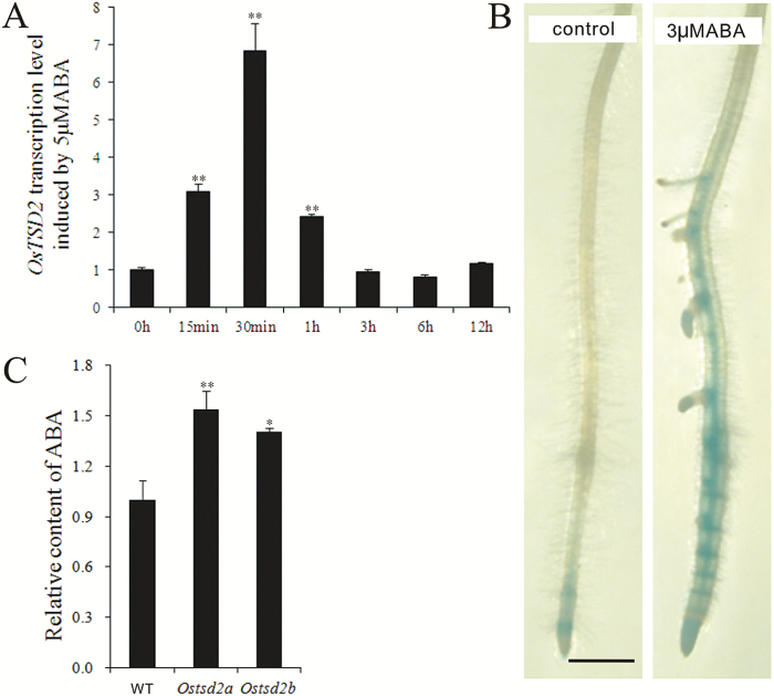 Fig. 6.