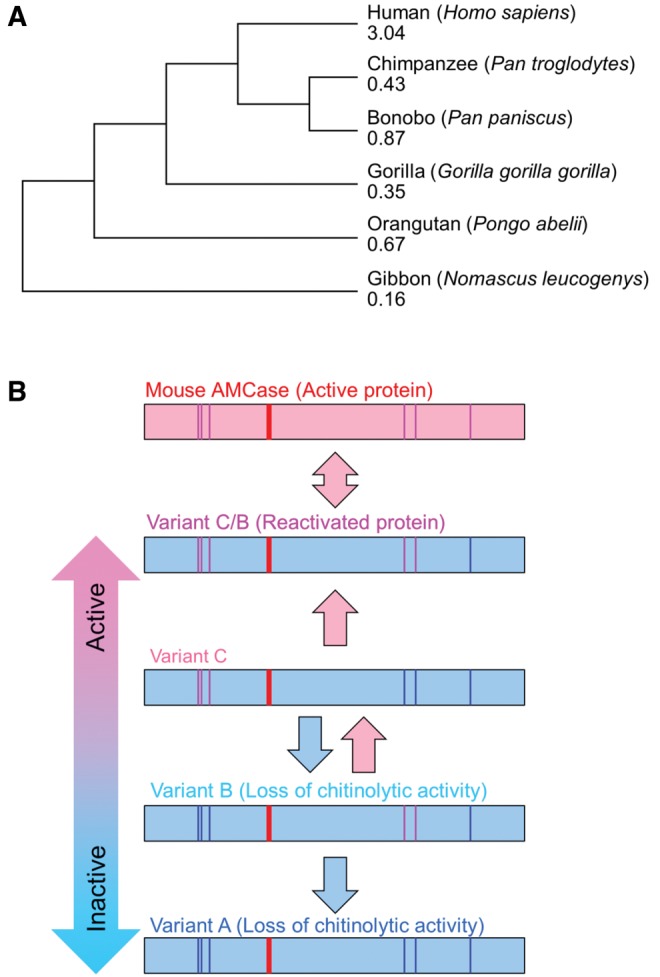 Fig. 6