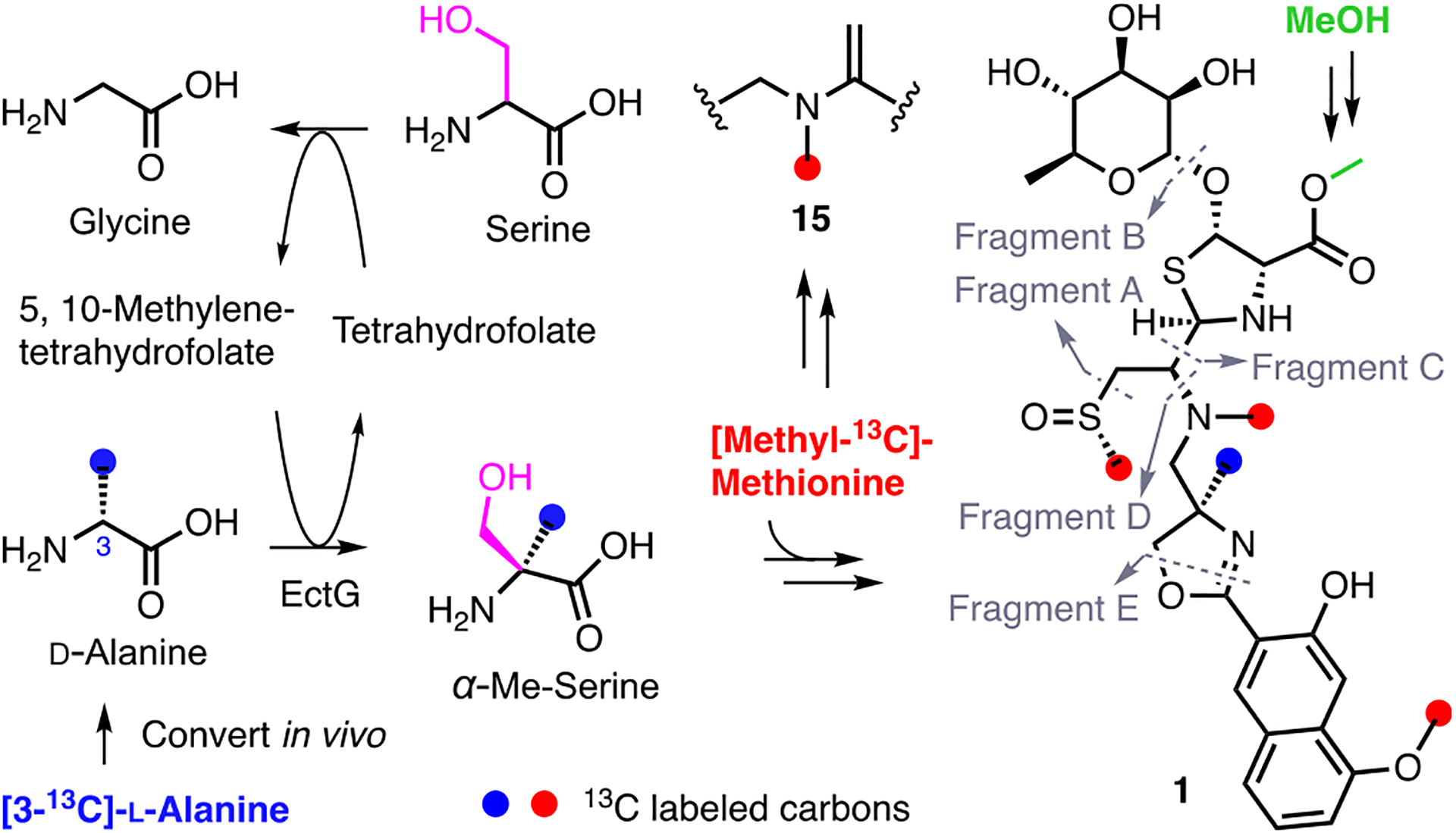 Figure 6.