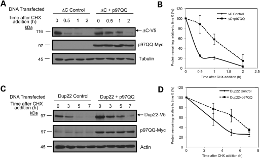 Figure 6.