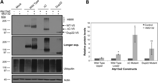 Figure 2.