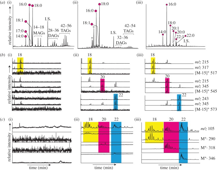 Figure 2.