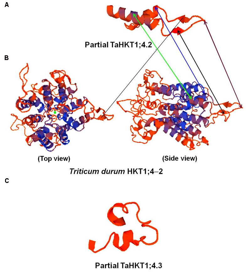 FIGURE 10