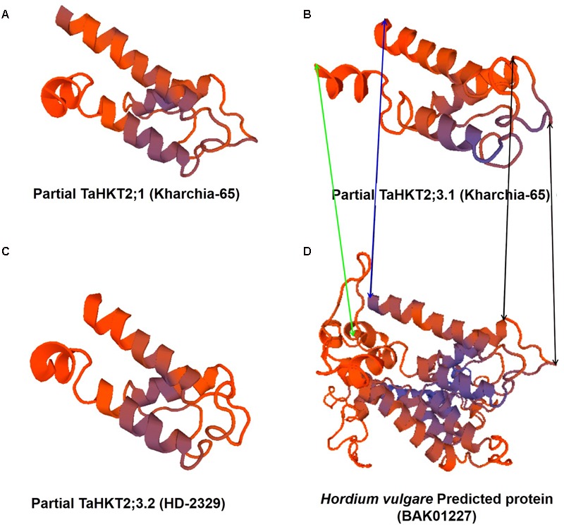 FIGURE 11