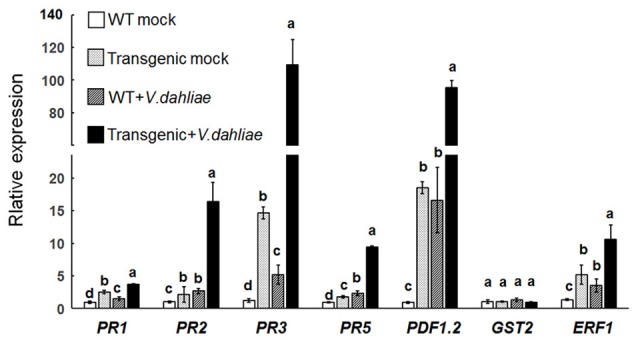 Figure 5