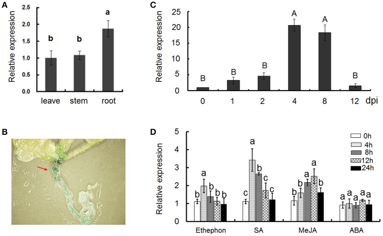 Figure 2