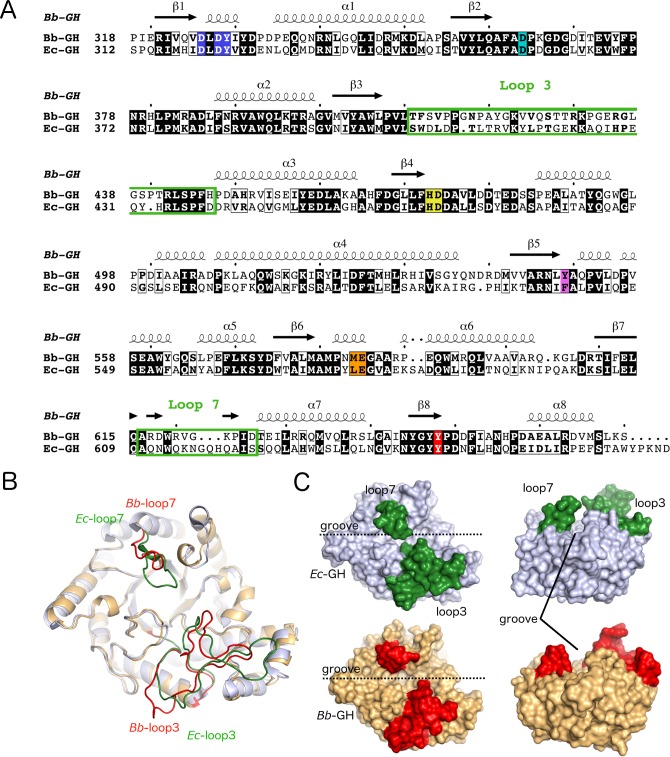 Fig 8