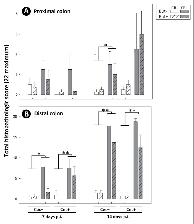 Figure 11.