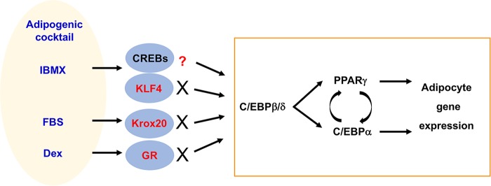 FIG 1