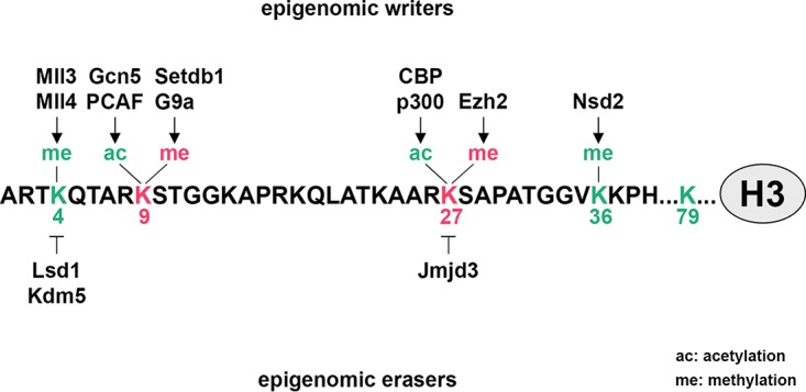 FIG 4