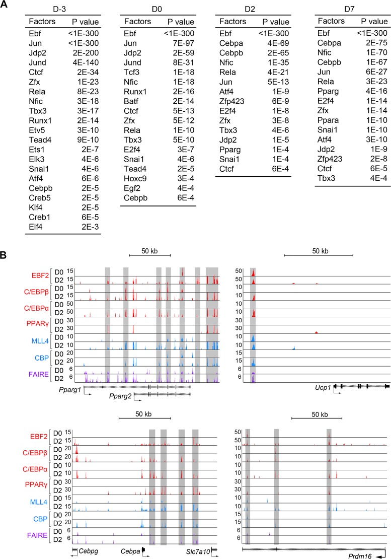 FIG 3