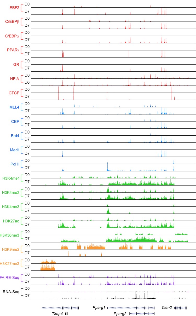 FIG 2