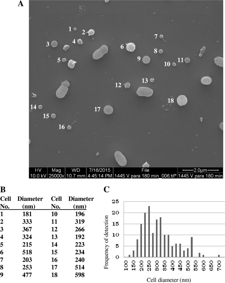 FIG 1