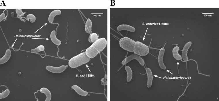 FIG 2