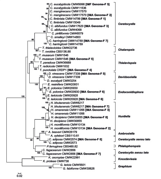 Fig. 4.