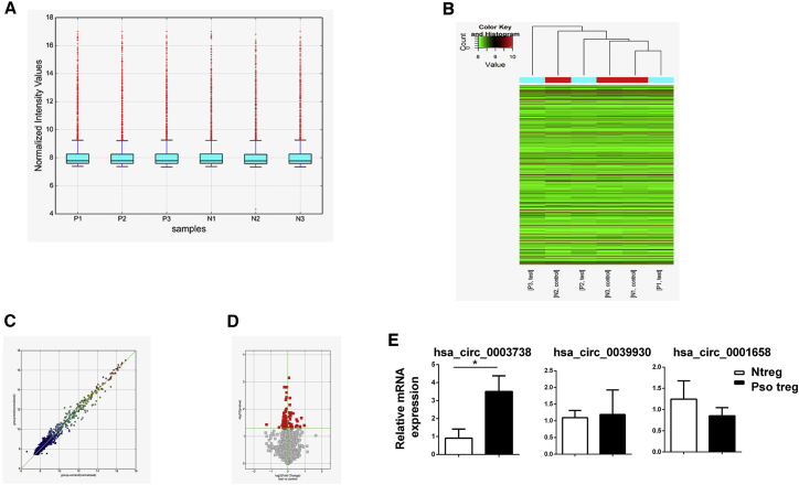 Figure 1