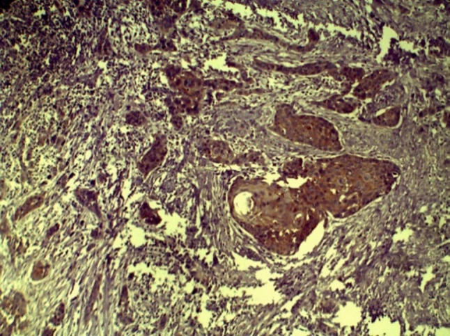 Fig. 8