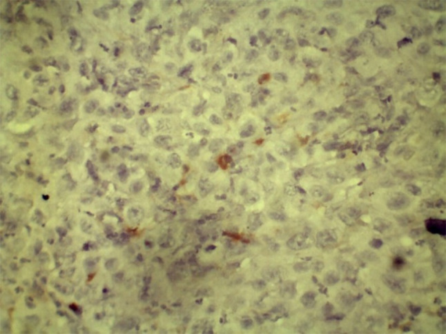 Fig. 20