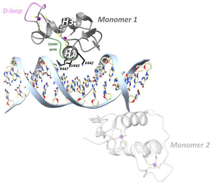 Figure 10