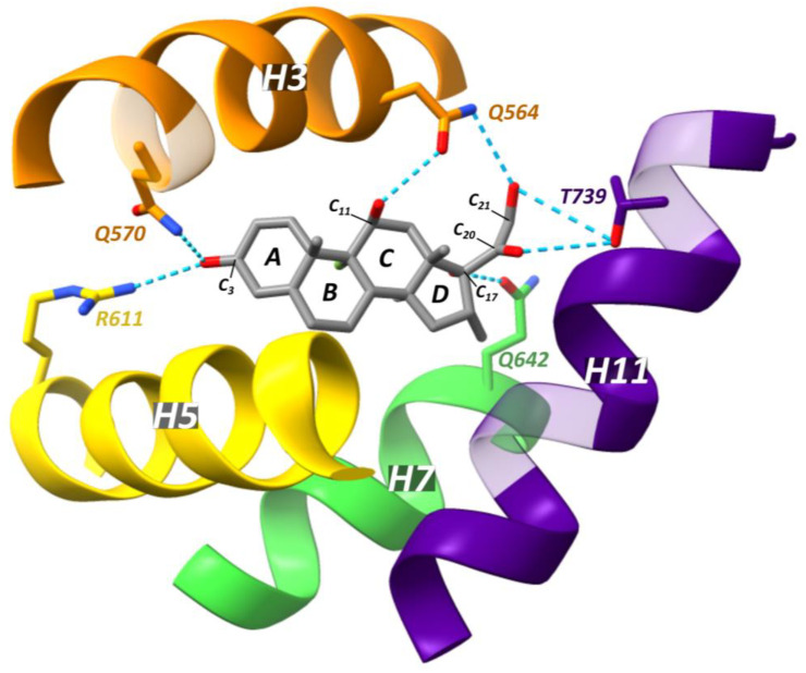 Figure 13