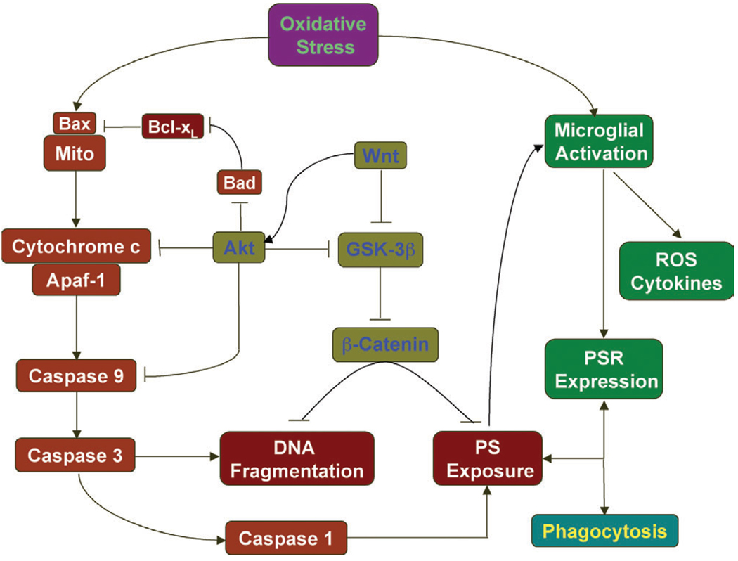 Fig. 2